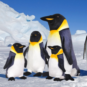 Giant Realistic Penguin Soft Stuffed Plush Toy