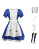 Alice: Madness Returns Costume Cosplay Dress