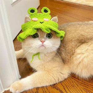 Warm Adjustable Cute Cat Costume Hat Soft Small Pet Headwear - Frog